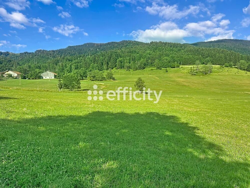 Vente Terrain Terrain agricole Megevette