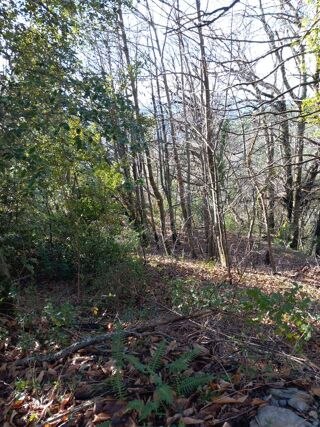  Terrain � vendre 6393 m�