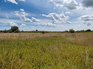  Terrain à vendre 6640 m²