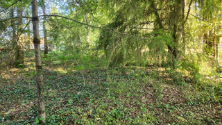  Terrain  vendre 1245 m