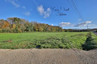  Terrain à vendre 5500 m²