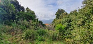  Terrain à vendre 1000 m²