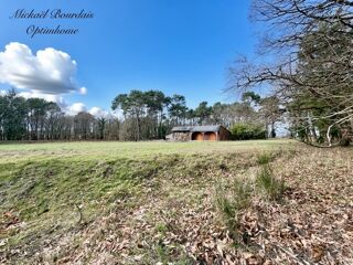  Propri�t�/ch�teau � vendre 12 pi�ces 303 m�