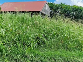  Terrain � vendre 1215 m�