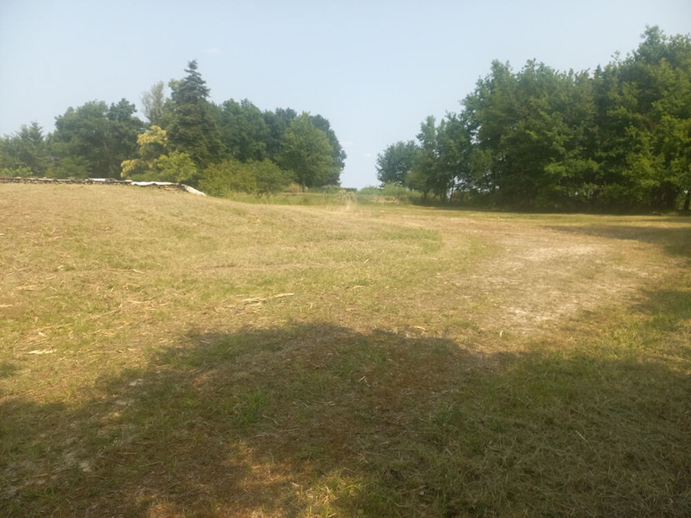 Vente Terrain En exclusivité terrain constructible,viabilisé,de 3000 m2 au calme à Vierzon Vierzon