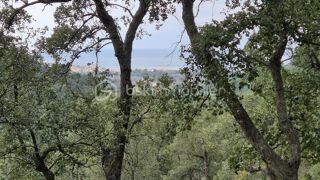  Terrain � vendre 56090 m�