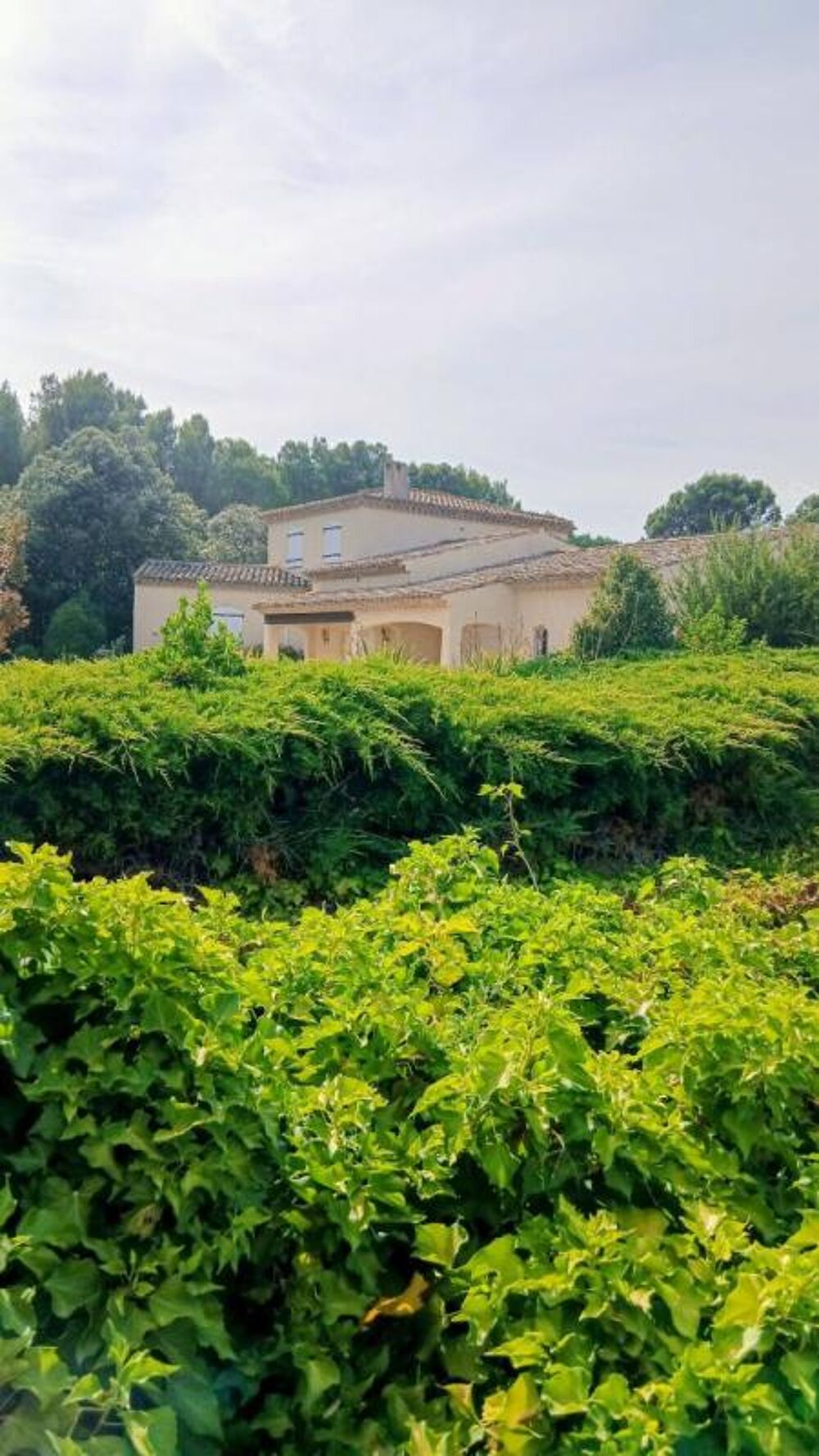 Vente Maison Maison d'exception 196 m² à Béziers, écrin méditerranéen, quatre chambres, grand séjoour salon  salle à manger de 67 m& Beziers