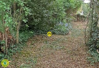  Propri�t�/ch�teau � vendre 4 pi�ces 62 m�