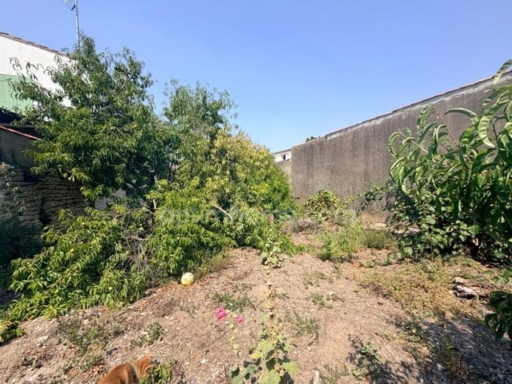 à vendre  Maison Le Bois-Plage-en-Ré (17580)