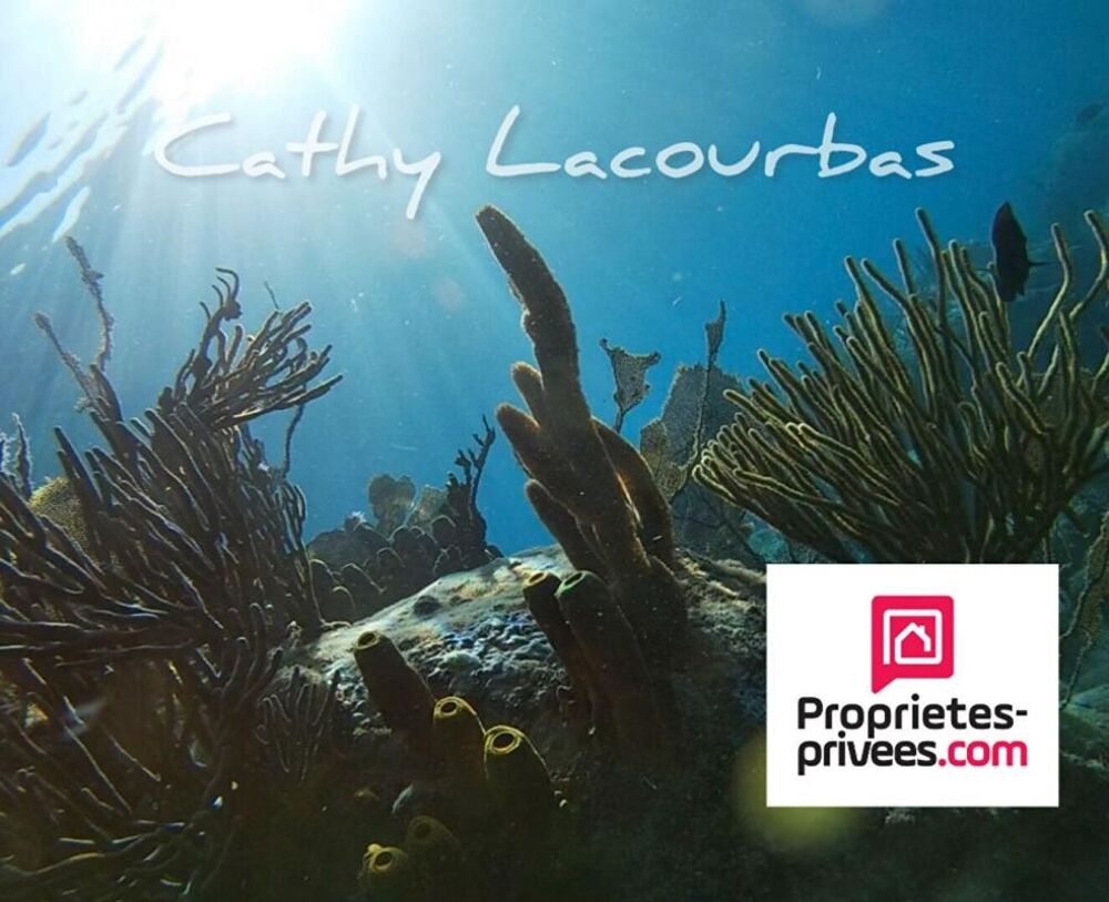 � vendre  Propri�t�/ch�teau Deshaies (97126)