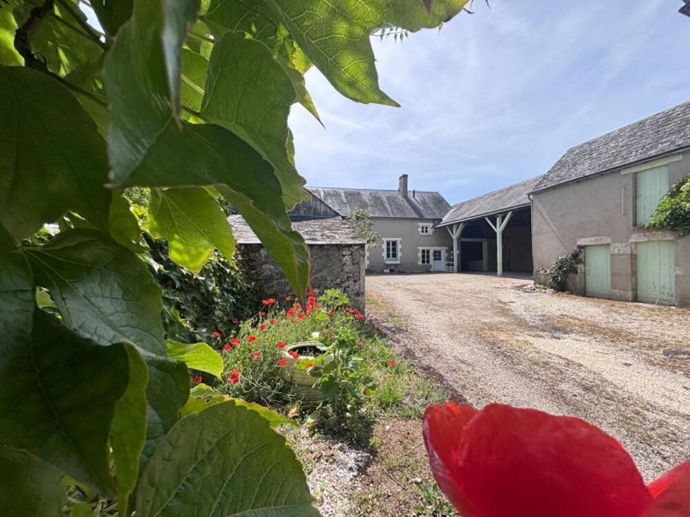 Ensemble immobilier Vineuil Maison + Granges
