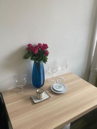  Appartement à louer 1 pièce 30 m²