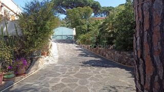  Villa � vendre 8 pi�ces 251 m�