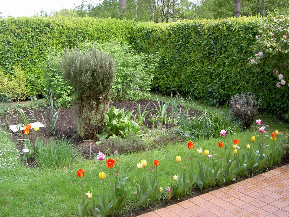  vendre  Maison Montigny-le-Bretonneux (78180)