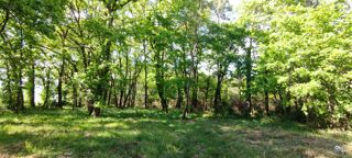  Terrain à vendre 2975 m²