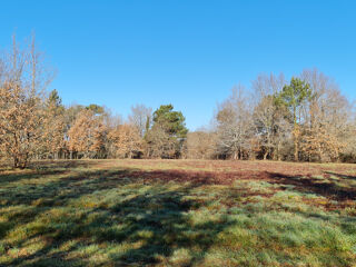  Terrain � vendre 11408 m�