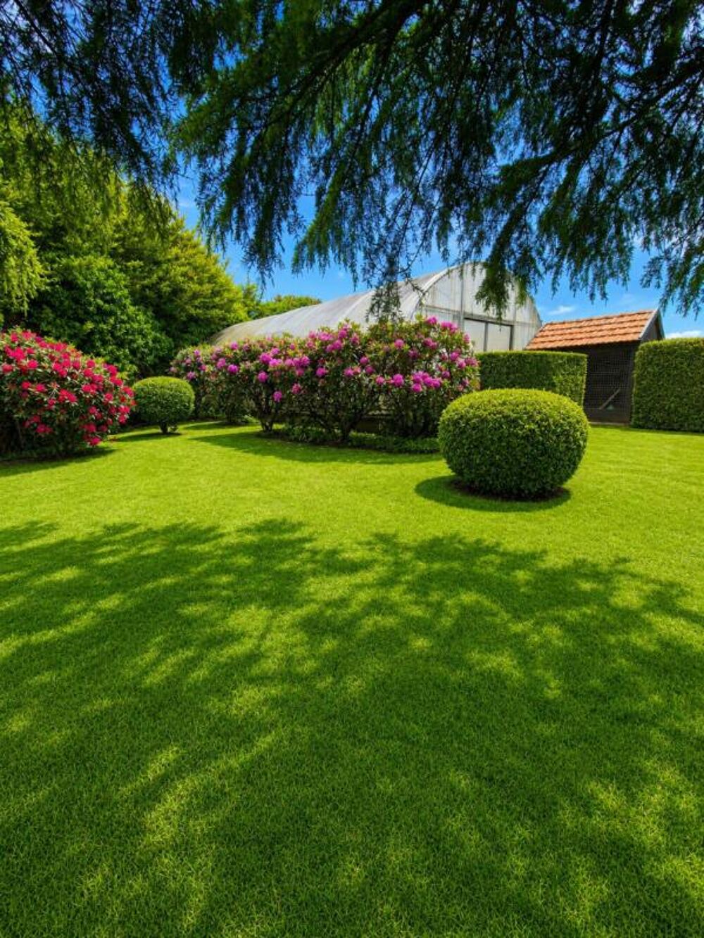 Magnifique propriété de 218 m² sur parc arboré de 3 748 m² avec hangar de 256 m²