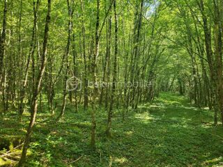  Terrain � vendre 107573 m�