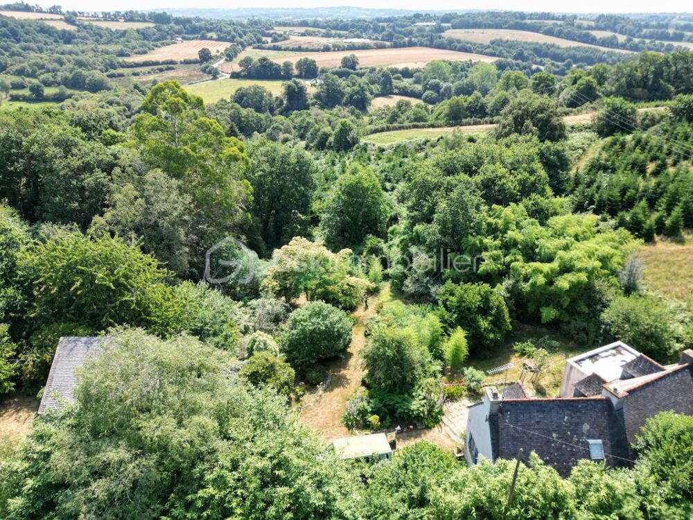 Propriété de 4 chambres isolée en pleine campagne