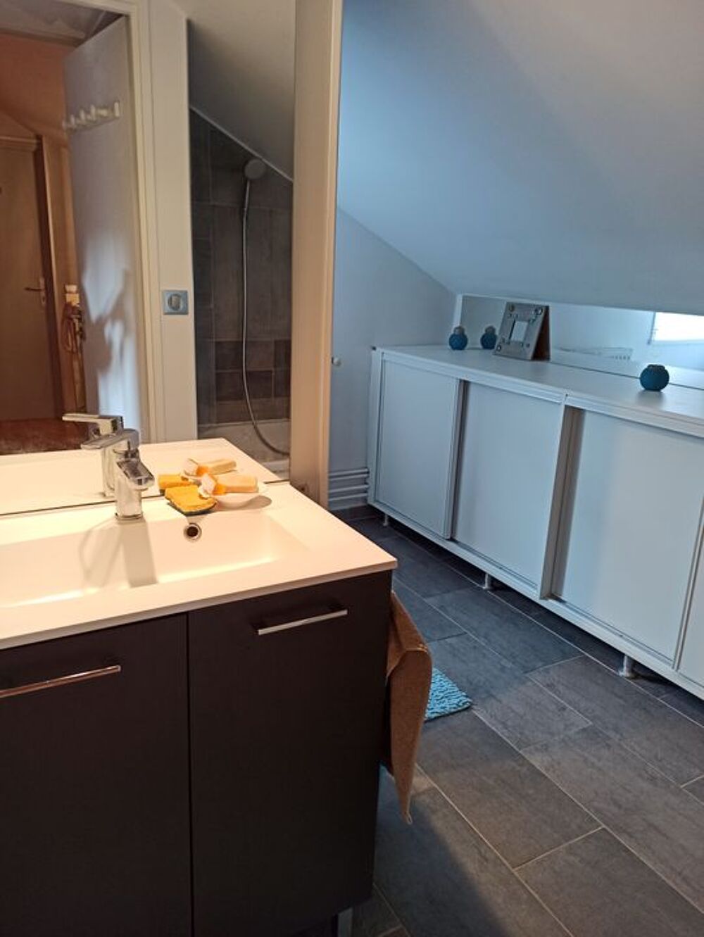 Location Appartement Chambre de 15m2 à louer sur Villeneuve-d'Ascq Villeneuve d ascq