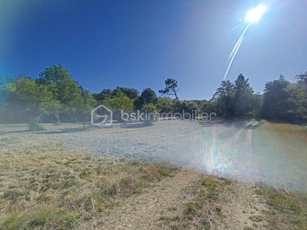 Vente Terrain ? Superbe terrain arboré de 4 190 m² (Divisible ou extensible jusqu'à 8 879 m²) – Tourtoirac Tourtoirac