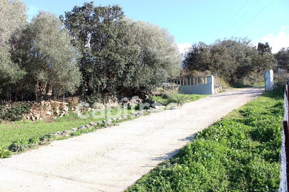 � vendre  Propri�t�/ch�teau L'�le-Rousse (20220)