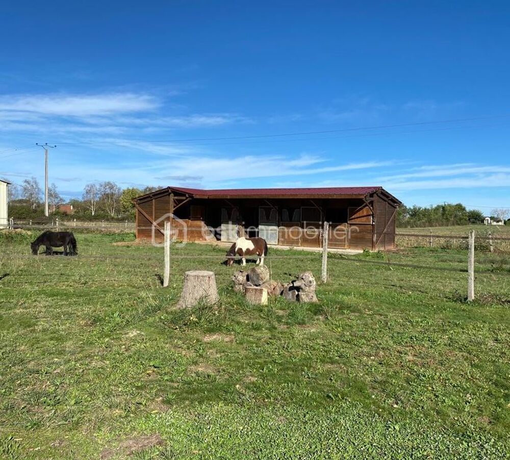 Vente Maison Charmante maison avec piscine, box à chevaux et vue Pyrénées Escures