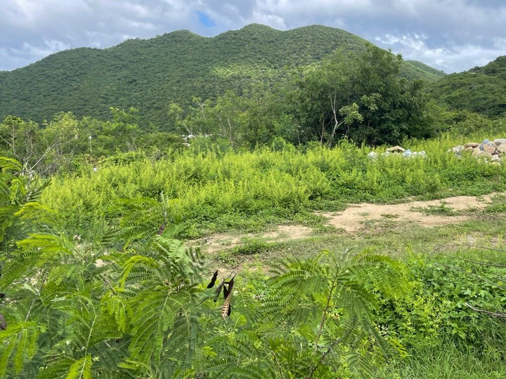 Vente Terrain TERRAIN CONSTRUCTIBLE À VENDRE AVEC VUE MER ET MARINA D'ANSE MARCEL, SAINT MARTIN (97150) Saint martin
