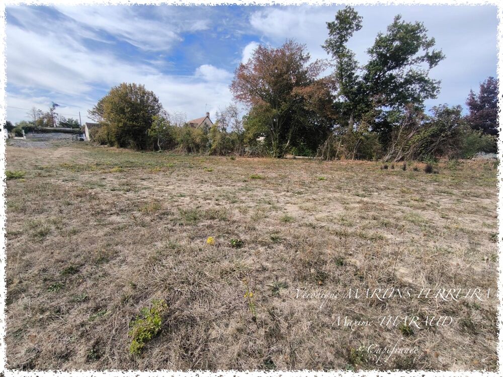Vente Terrain ENSEMBLE FONCIER DE 8 008 M² AVEC ACCÈS DIRECT AU CHER – PREUILLY (18120) Preuilly