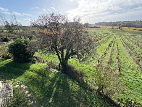   Secteur Castelviel (33) - DOMAINE AGRICOLE, CHATEAU, GITES 
