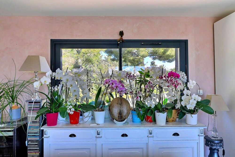 � vendre  Propri�t�/ch�teau Saint-Cyr-sur-Mer (83270)