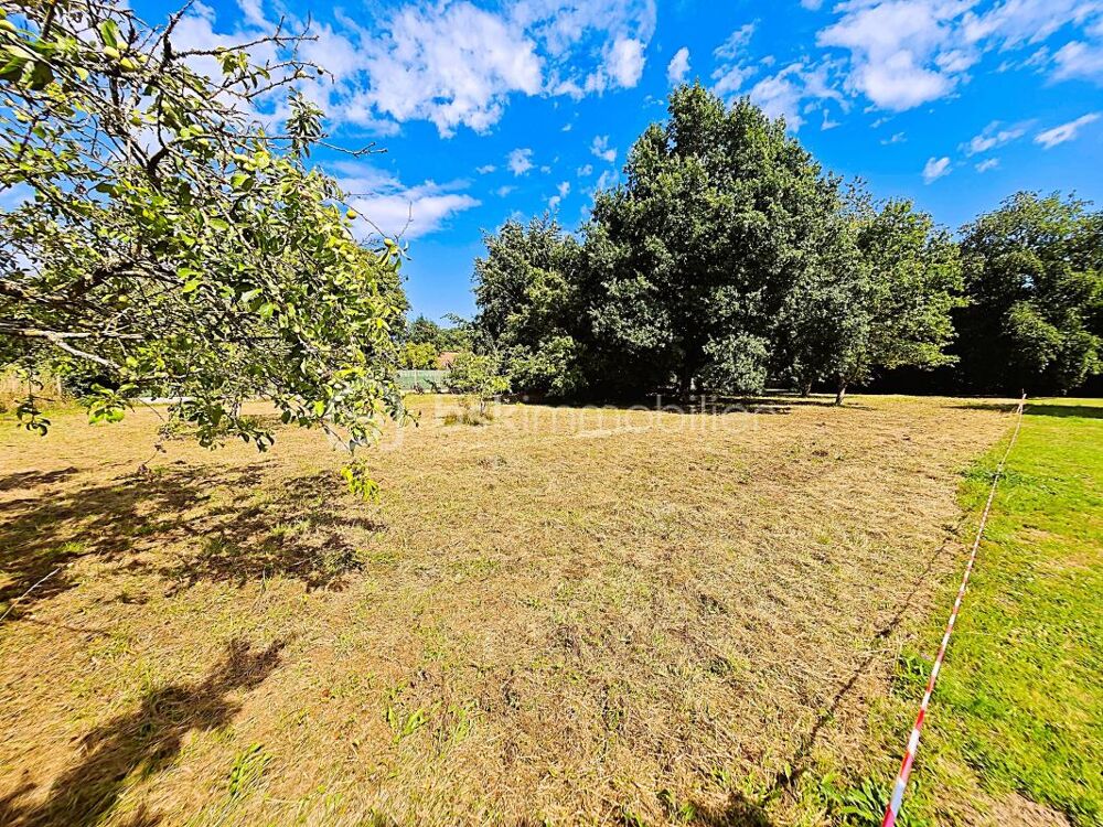 Vente Terrain TERRAIN DE 31 METRES DE FACADE 2000 M² DE SURFACE PLAT PLEIN SUD Grosrouvre
