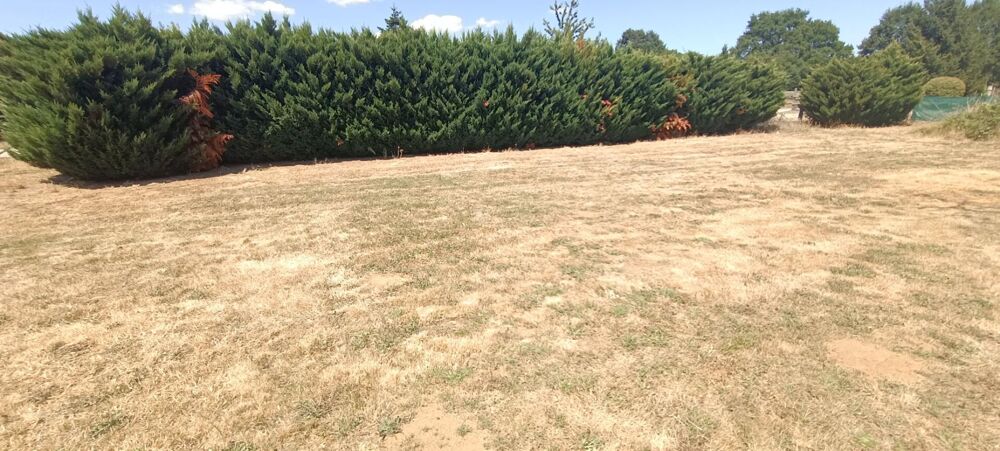 Vente Terrain Terrain à bâtir entièrement plat de plus de 800 m2 avec une façade de 24 m Yvre l eveque