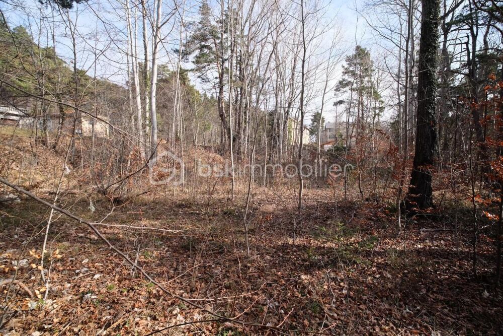 Vente Terrain Terrain constructible boisé – Thorenc Station – 1 370 m² Andon