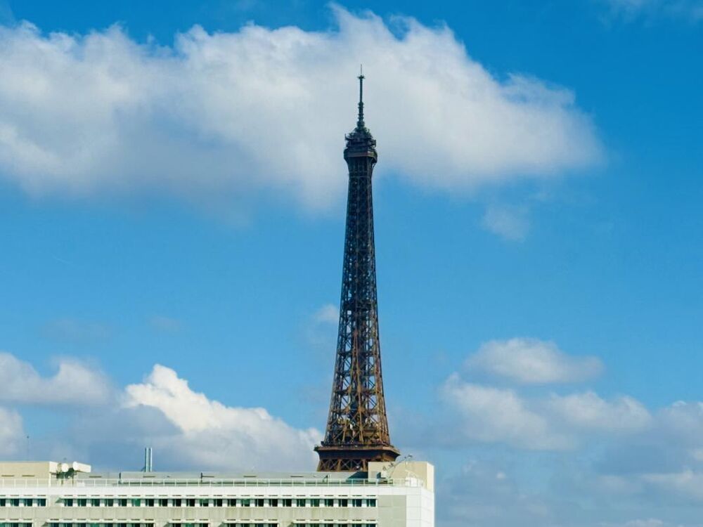  vendre  Appartement Paris 15