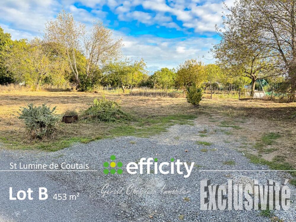 Vente Terrain Terrain Saint lumine de coutais
