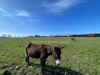  Terrain  vendre 4190 m