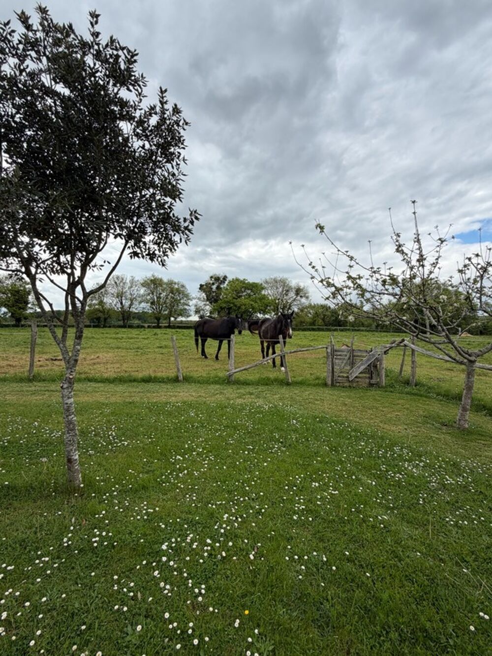 Cellefrouin. Maison 135 m² avec garage et véranda sur terrain de 12775 m²