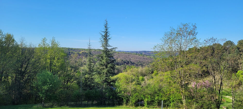 Vente Maison UN LIEU DE VIE SINGULIER, ENTRE NATURE, ACCUEIL ET ART DE VIVRE! Secteur PLAZAC. SAINT-LEON/VEZERE Plazac