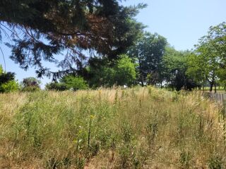  Terrain  vendre 983 m