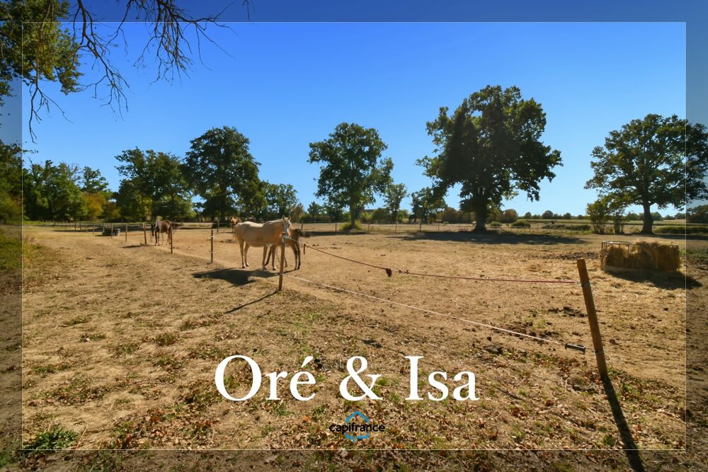 Vente Maison Maison à vendre 5 pièces ORCENAIS (18) Orcenais