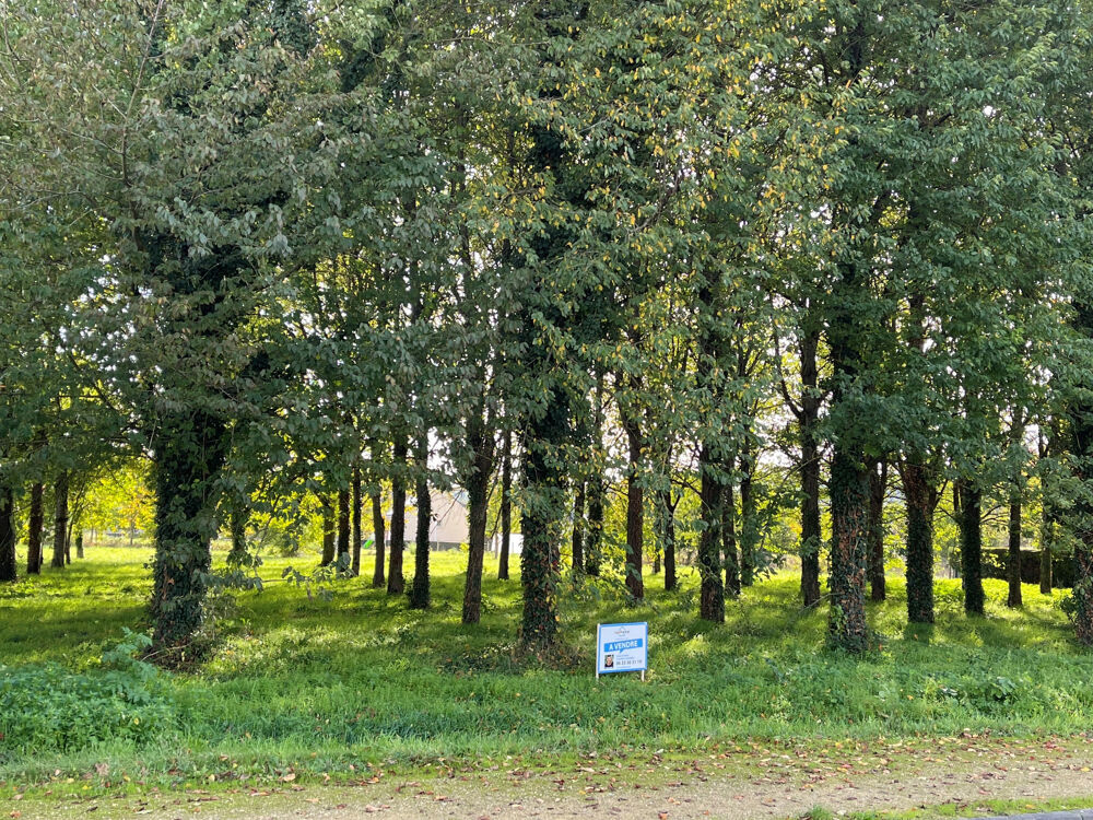 Vente Terrain Dpt Maine et Loire (49), à vendre terrain constructible Vernoil le fourrier