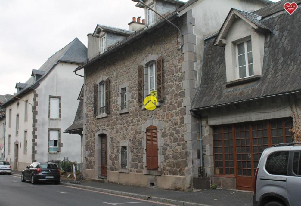 Vente Propriété/Château belle demeure Vic sur cere