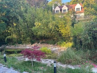  Propriété/château à vendre 12 pièces 230 m²