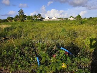  Terrain à vendre 500 m²
