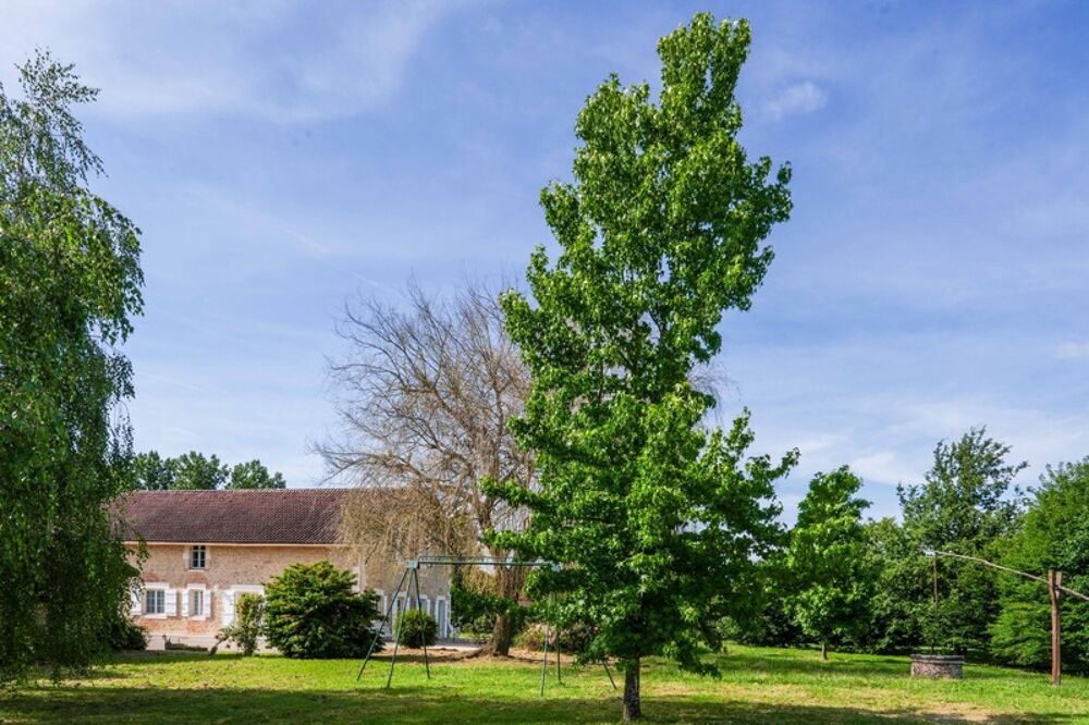 Vente Propriété/Château Propriété de Caractère et de charme proche de MONT DE MARSAN (40) - 430 M2 Habitables - Terrain 9000m2 environ Mont de marsan