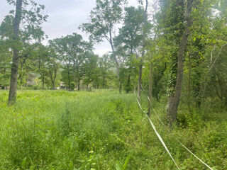  Terrain � vendre 2465 m�