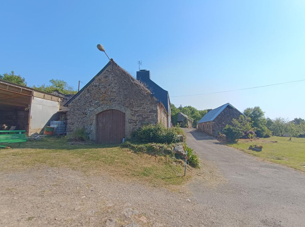 29560 Crozon Argol maison de famille 5 chambres dépendances et bois sur 1 hectare