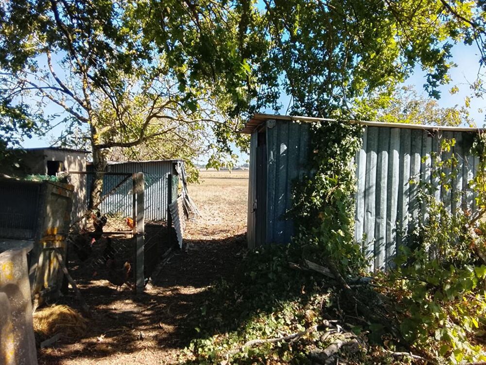 Vente Maison Maison Azay Le Ferron 4 pièce(s) 90 m2 Azay le ferron
