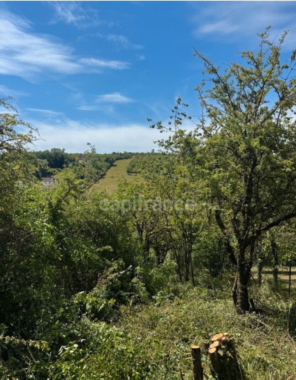 Vente Terrain Terrain à vendre  VAUX (89) Vaux